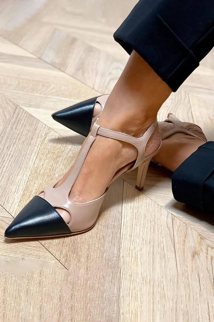 Evrardine | Two-tone Pointed Toe Pump