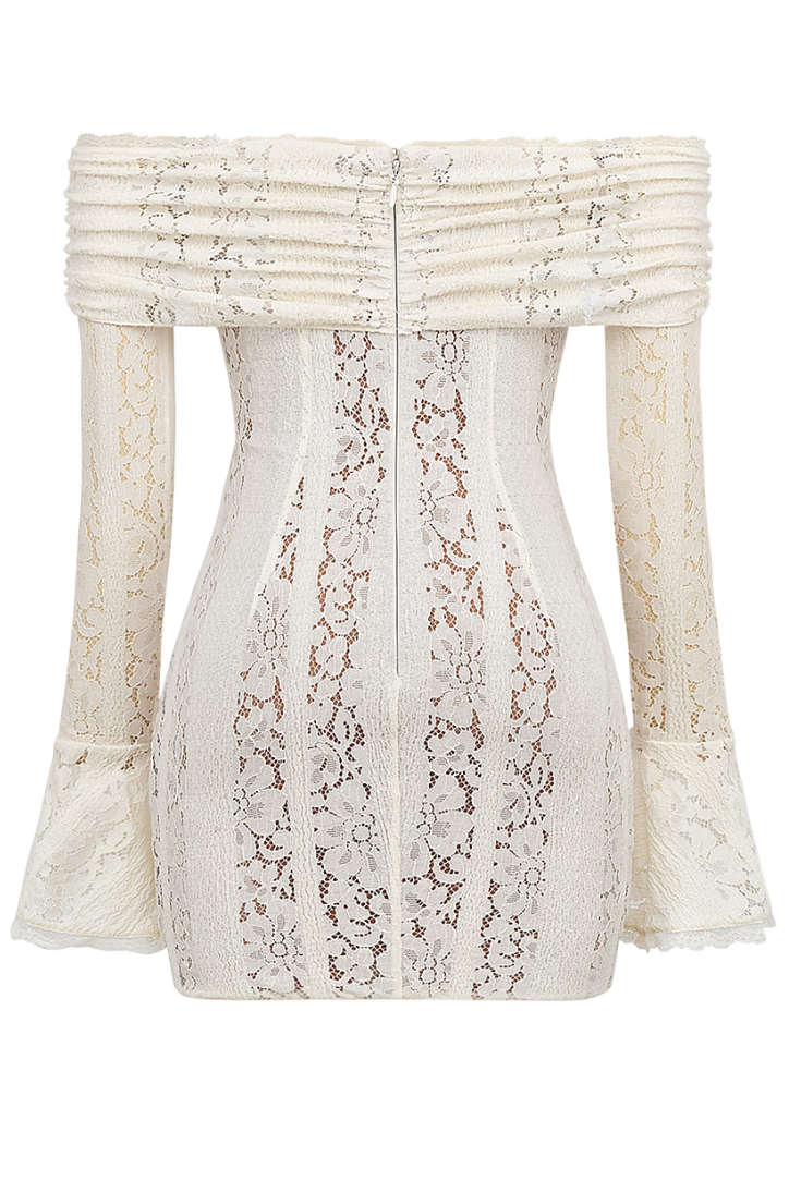 Anaya | Lace Mini Dress