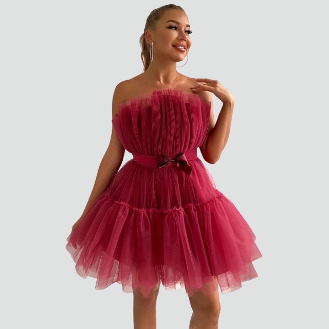 Avencea Bandeau Tulle Dress with Layered Skirt