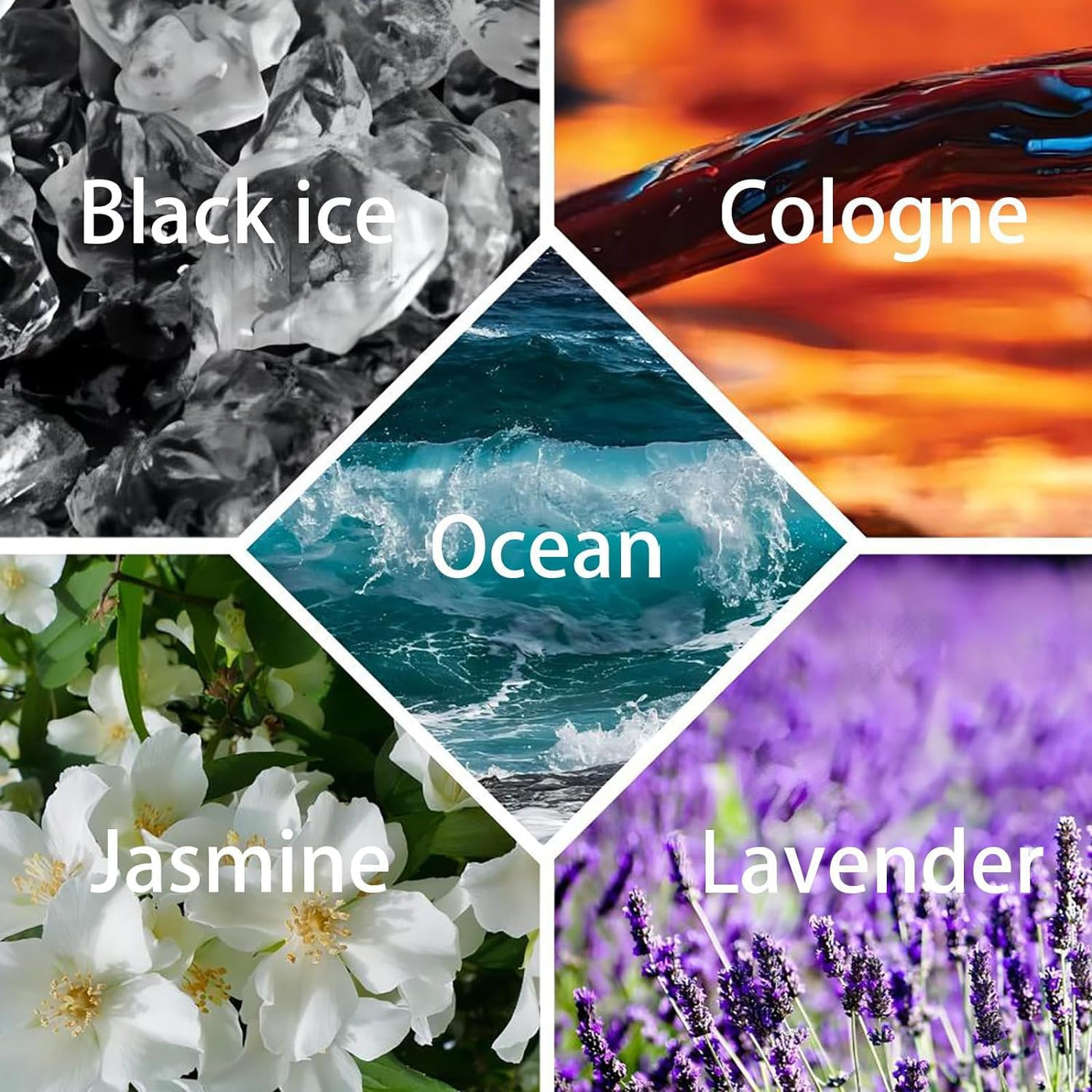 AuraBloom™ — Transform Every Space Into Your Personal Oasis of Calm and Elegance