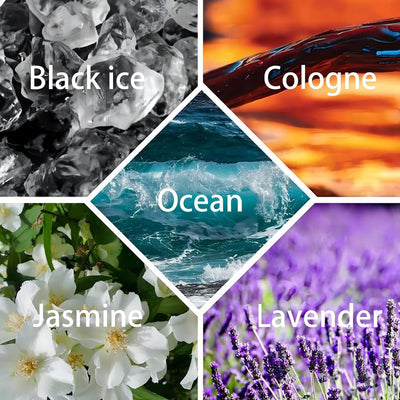 AuraBloom™ — Transform Every Space Into Your Personal Oasis of Calm and Elegance