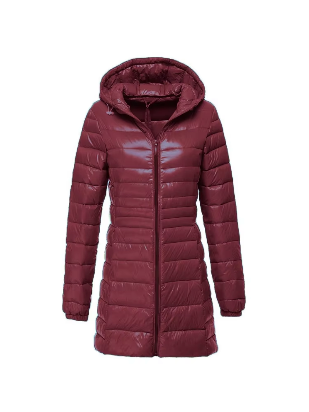 Avencea Padded Down Jacket