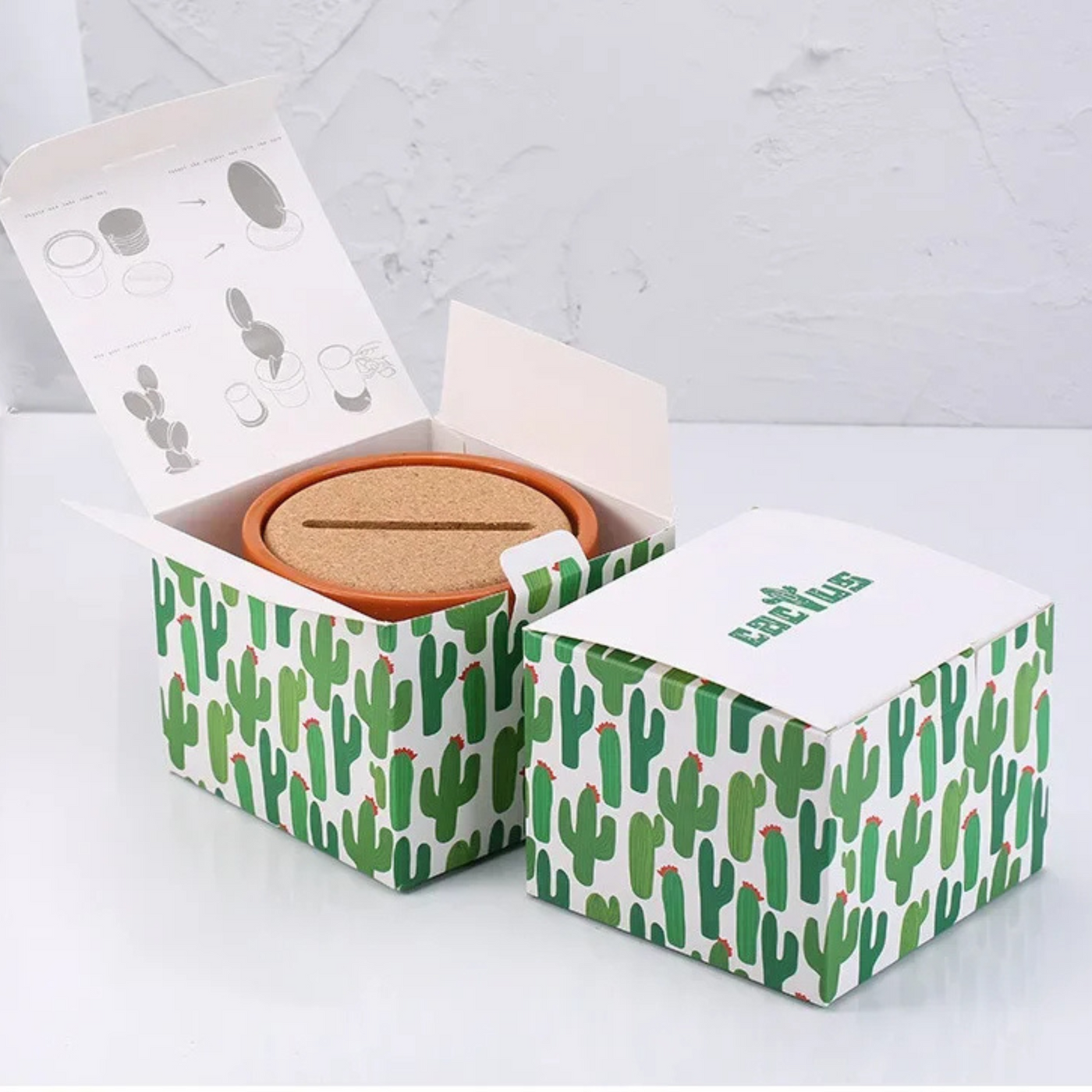 Cactus Coaster Plant Set