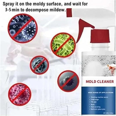 MoldAway™ — Protect Your Home and Loved Ones with Fast, Lasting Mold Erasure