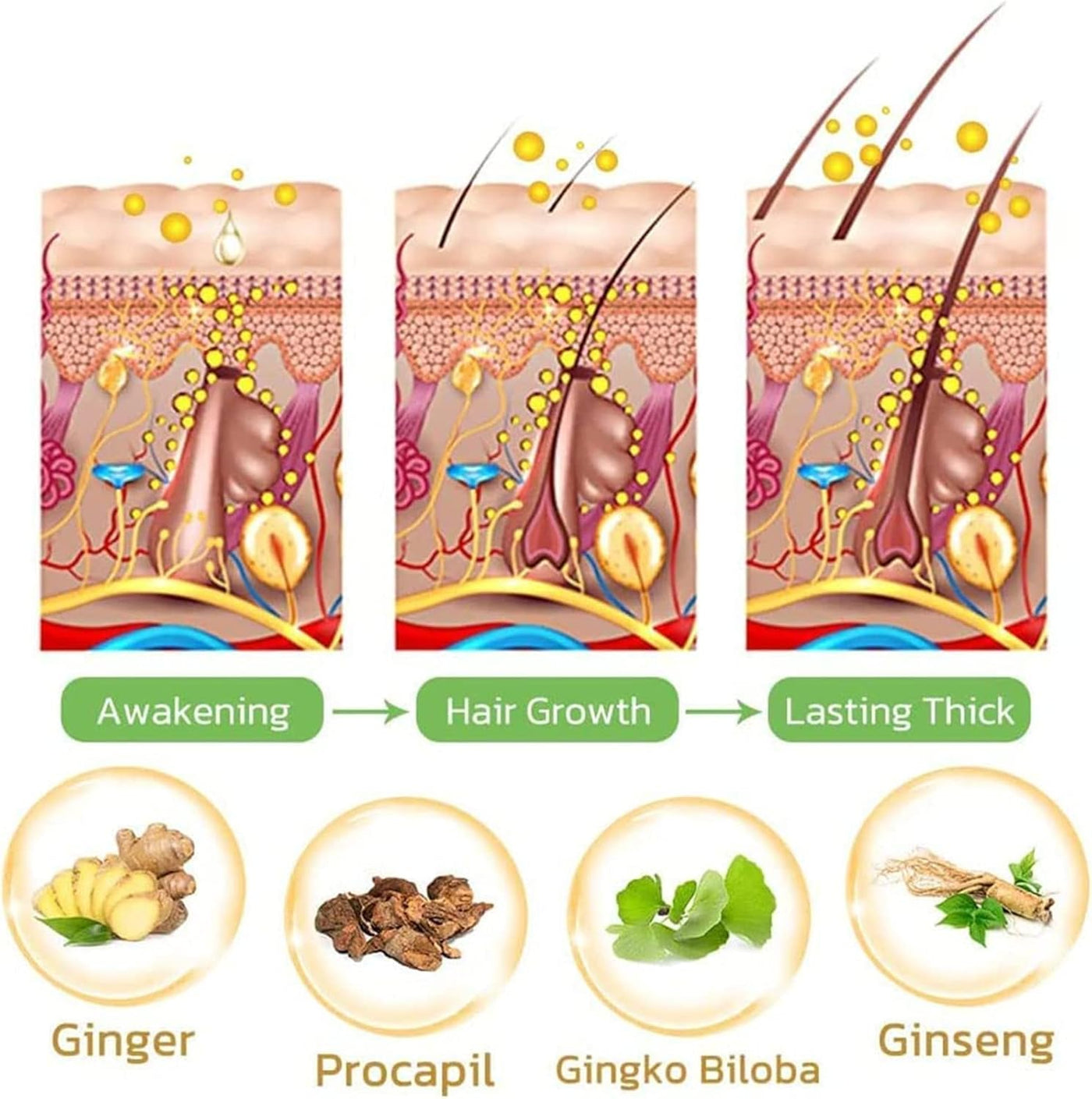 RevitaNest™ Hair Renewal Spray — Wake Up to Thicker, Stronger Hair Every Morning