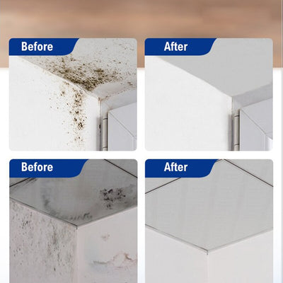 MoldAway™ — Protect Your Home and Loved Ones with Fast, Lasting Mold Erasure