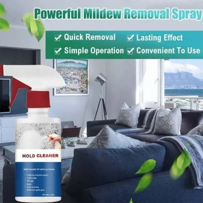 MoldAway™ — Protect Your Home and Loved Ones with Fast, Lasting Mold Erasure