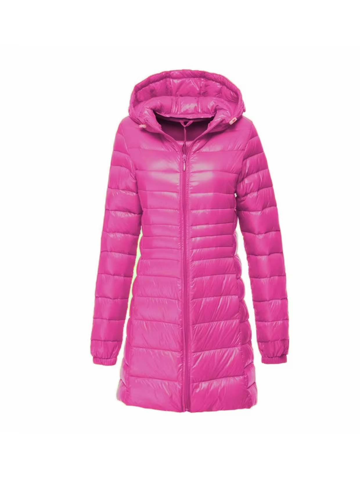 Avencea Padded Down Jacket