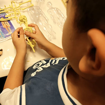 VitaForm™ 3D Anatomy Explorer — Unlock Mastery by Seeing and Touching Every Body Detail