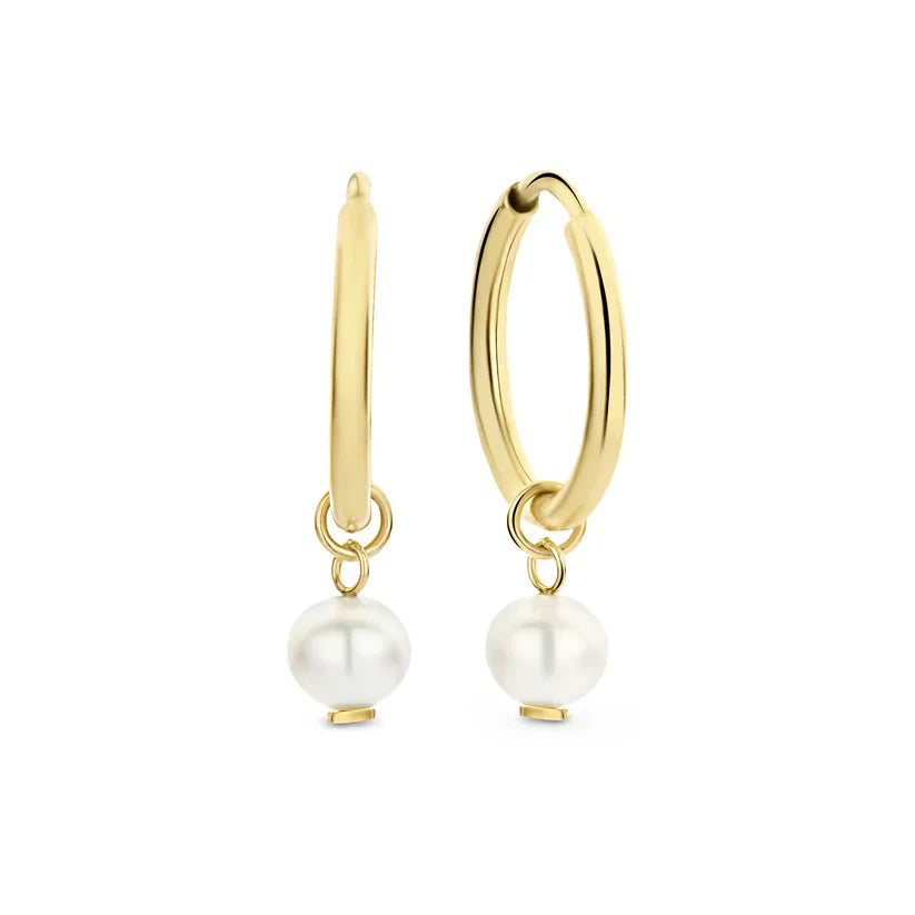 Delia Crest Earrings | Gold 14k