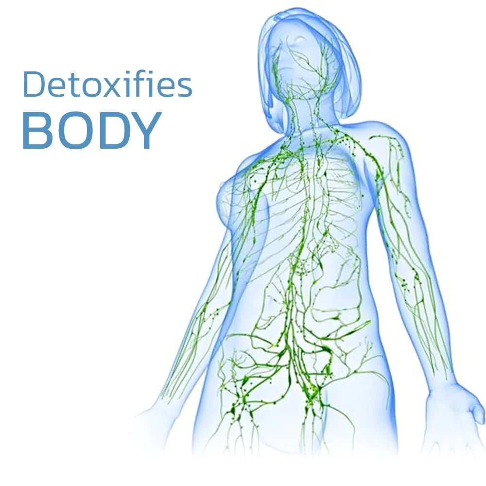 ThryvaKnee™ — Ignite Soothing Warmth for Pain-Free, Confident Movement All Day