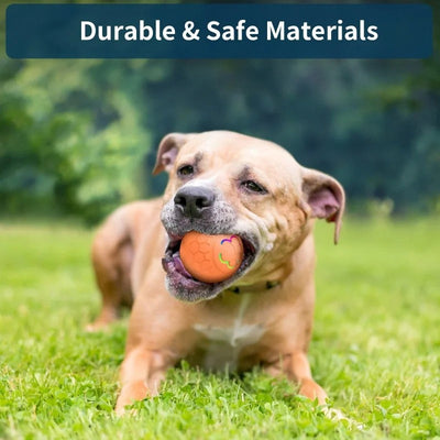 VivaPup™ Smart Ball — Endless Play That Sparks Joy and Sharpens Your Dog’s Mind