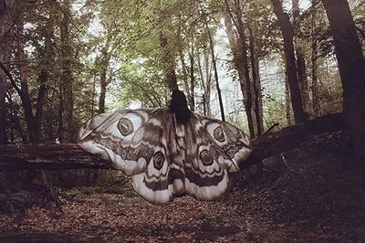LunaFae™ Moth Wings Cape — Unleash Your Inner Enchantress and Own Every Gaze