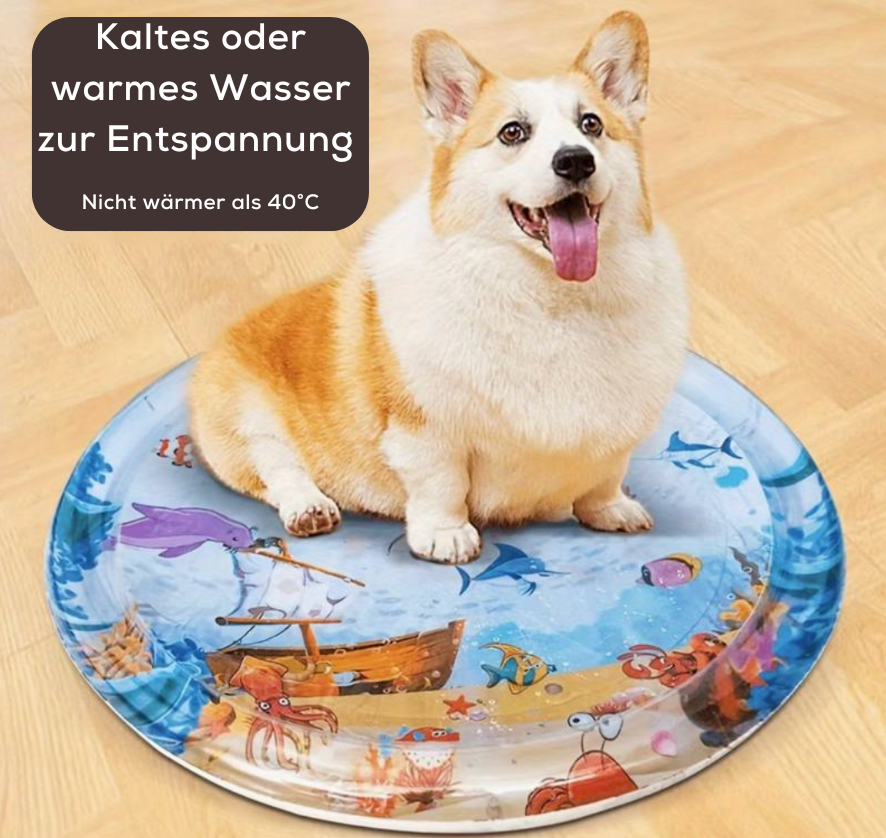 SplashVibe™ — Ignite Joy and Curiosity in Every Splash for Kids and Pets