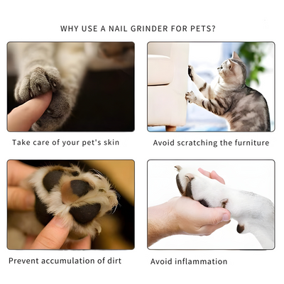RamoraPaw™ — Calm, Precise Nail Care That Comforts and Protects Your Pet