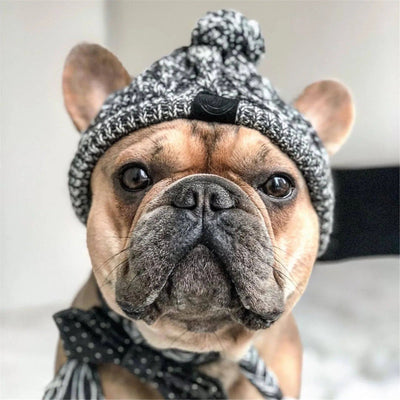 ArcticPaws Pet Beanie