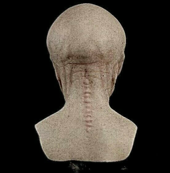 VortexMorph™ Alien Mask — Command Every Crowd with Jaw-Dropping, All-Night Realism and Comfort