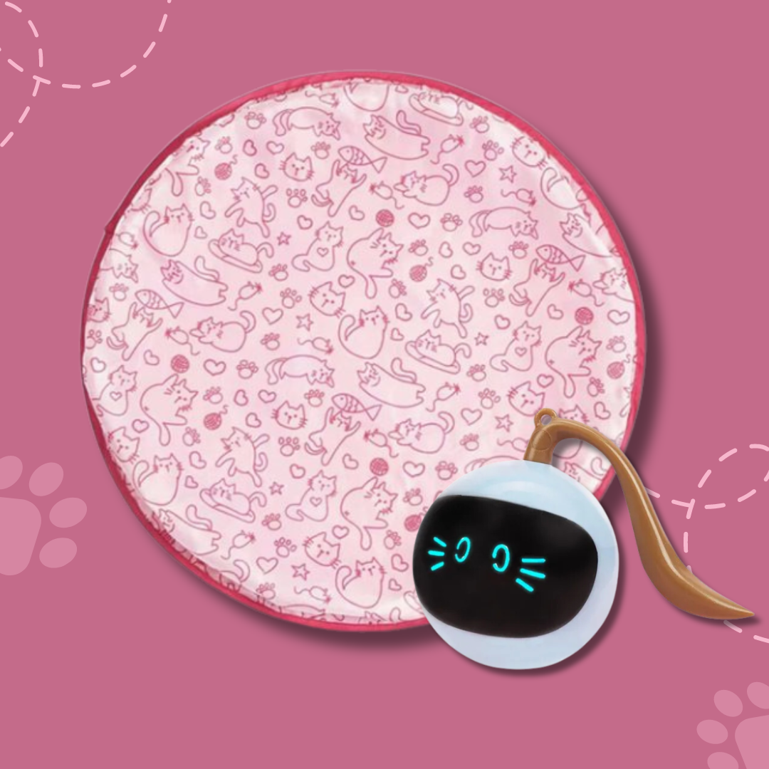 TurboPounce™ — Ignite Your Cat’s Hunter Spirit for Endless Joyful Action