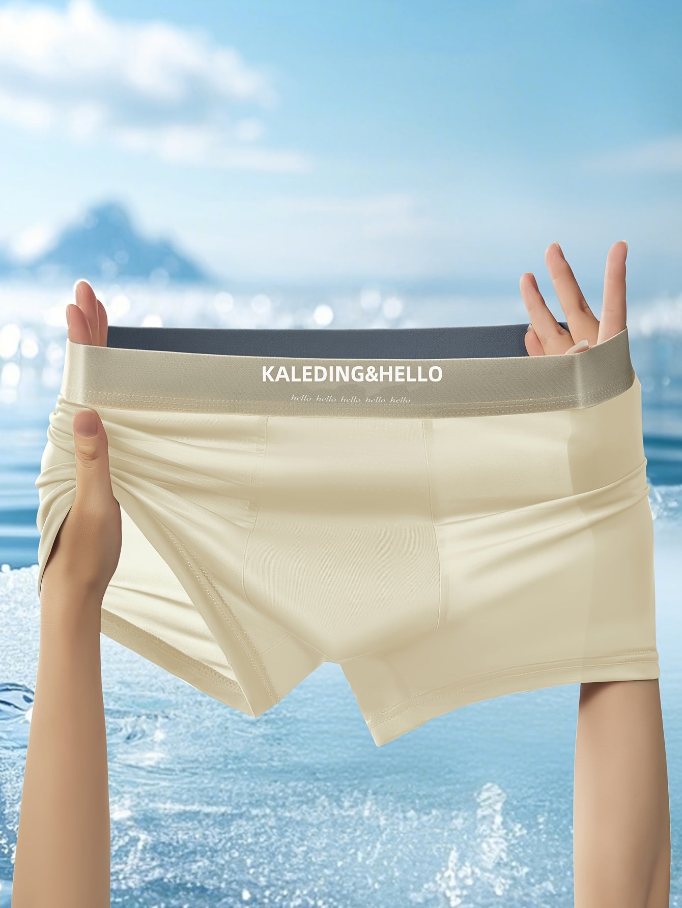 Celcius Ice Silk Brief Set